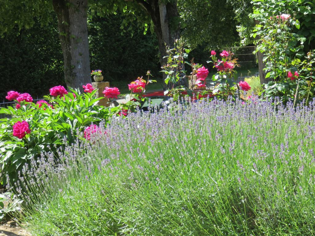 Les Quatre Saisons Bed & Breakfast Moitron-sur-Sarthe Exterior photo