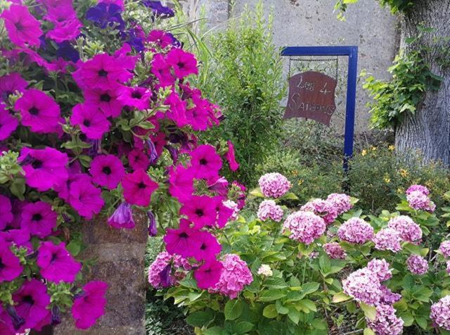 Les Quatre Saisons Bed & Breakfast Moitron-sur-Sarthe Exterior photo